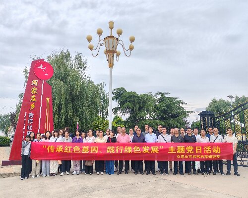 傳承紅色基因，走好新時代共同富裕之路：周家莊主題黨日活動側記